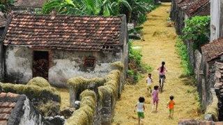 Đông về, ngơ ngẩn nhớ quê xưa