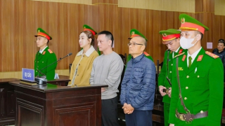 Vi “ngộ” hầu tòa vì tội trốn thuế