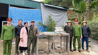 Công an xã ở Thanh Hóa vận động người dân giao nộp nhiều cá thể động vật hoang dã quý hiếm