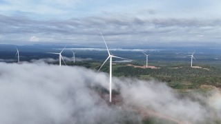 Nhà máy điện gió Savan 1 của Bầu Hiển tại Lào chính thức vận hành thương mại