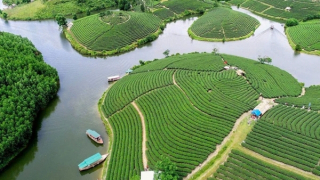 Dự án nghìn tỷ Đảo chè - Cầu Cau “treo” đến bao giờ?