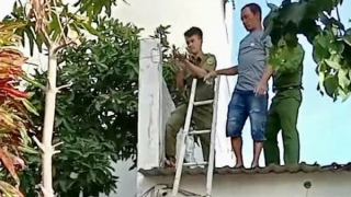 Một thuyền viên nghi ngáo đá leo lên mái nhà 3 tầng được đưa xuống an toàn