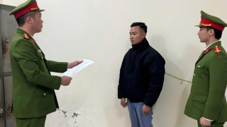 Khởi tố lái máy múc và chủ xe gây tai nạn