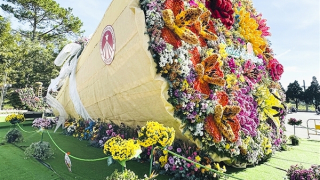 Hoa trên thành phố ngàn hoa