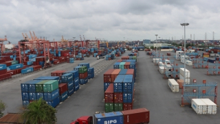 Giải phóng gần 500 container chè của Việt Nam bị kẹt tại cảng Karachi, Pakistan