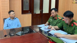 Khi “cá mập” rớt khỏi bể kính