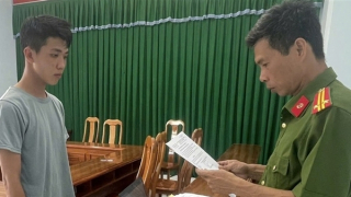 Xâm hại tình dục cháu gái người cho ở nhờ