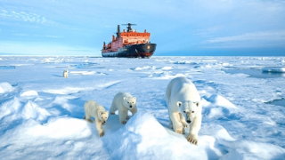 Cuộc chiến giành kho báu Bắc Cực giữa các cơ quan tình báo