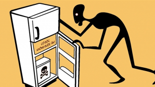 Chiếc tủ lạnh dùng chung