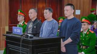 Vợ chồng Vi “ngộ” đã trốn thuế như thế nào?