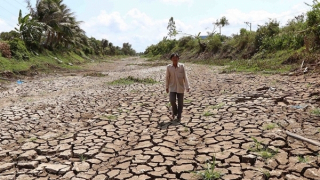 Chương trình hành động quốc gia chống sa mạc hóa: Góp phần xóa đói giảm nghèo bền vững