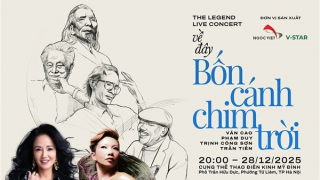 Vụ hủy show diễn “Về đây bốn cánh chim trời”: Tại anh, tại ả…