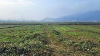 Cẩn trọng đặt cọc đất dự án bất động sản nghìn tỷ Cồn Bàu khi chưa đầy đủ pháp lý