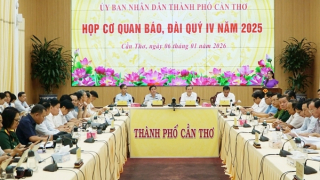 Cơ quan CSĐT đang thụ lý điều tra vụ chặt hạ 42 cây xà cừ ở công viên hồ Nước Ngọt