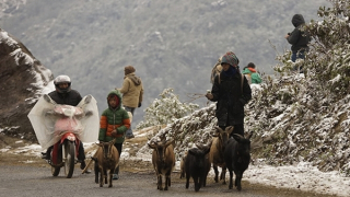 Giá rét khắp miền Bắc, vùng núi xuống dưới 3 độ C
