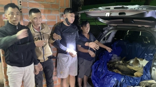 Triệt phá đường dây trộm cắp và tiêu thụ chó mèo “khủng” ở Tây Ninh