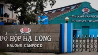 Thương hiệu sụp đổ, người tiêu dùng quay lưng với sản phẩm đồ hộp Hạ Long