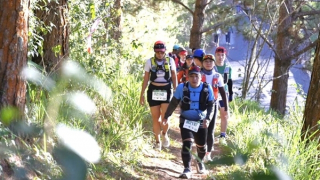 Hơn 1.000 người chinh phục địa hình rừng thông Đà Lạt