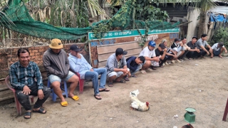 Tây Ninh: Xoá tụ điểm đá gà ăn tiền từ sáng sớm