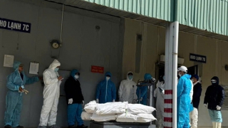 Bài học đắt giá khi lợi nhuận đặt trên sức khỏe người dân