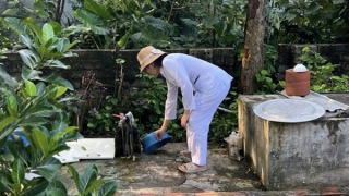 Sốt xuất huyết và tay chân miệng diễn biến phức tạp, Bộ Y tế khuyến cáo phòng bệnh