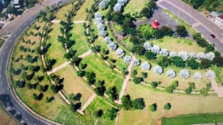 Vụ Công ty TNHH Cây Xanh Công Minh: Các đối tượng đã gây thiệt hại cho Nhà nước hơn 395 tỷ đồng