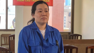 Lừa đảo hàng trăm triệu đồng, nữ chủ hụi nhận án 7 năm tù