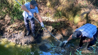 Phát hiện nhiều doanh nghiệp xả thải trái phép ra sông Pô Kô