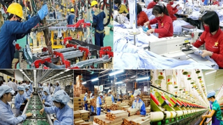 Tái định vị vai trò của kinh tế nhà nước