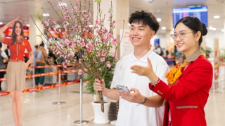Từ hôm nay, hàng không Vietjet nhận vận chuyển mai, đào Tết Nguyên đán 2026