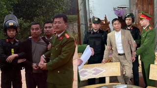 Ngang nhiên huỷ hoại cây keo giống trên đất của Tổng Công ty Lâm nghiệp Việt Nam