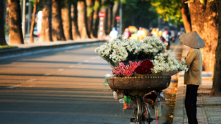 Bắc Bộ mưa vài nơi, sáng sớm có sương mù, Nam Bộ nắng ấm