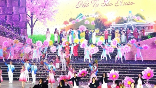 Đà Lạt tưng bừng bước vào hội mai anh đào