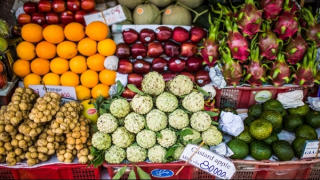 China-Vietnam economic and trade cooperation set to become regional model