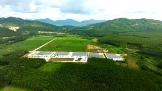 Sao Mai Agro: Nâng cao giá trị nông sản, hướng tới thị trường quốc tế
