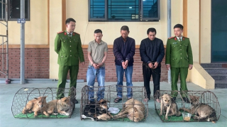 Nhóm “cẩu tặc” trang bị súng điện, bình xịt hơi cay để hành nghề