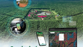 VRG quyết tâm hoàn thành thắng lợi kế hoạch sản xuất kinh doanh và đầu tư năm 2026