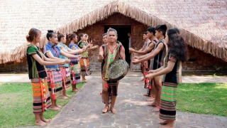 Bom Bo mùa xuân về