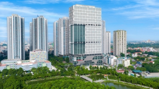 Cảm hứng sống đẹp và chất từ thương hiệu Việt