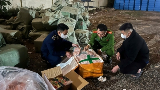 Hà Nội thu giữ hơn 10 tấn thực phẩm bẩn