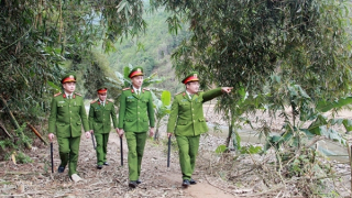 Bảo đảm An ninh phi truyền thống – Tầm nhìn chiến lược, mang đậm tư duy hành động của Đảng