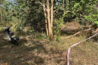 Điều tra vụ phát hiện người đàn ông tử vong trong khu rừng vắng