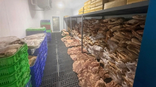 Thực phẩm bẩn, độc hại vẫn len lỏi vào mâm cơm gia đình