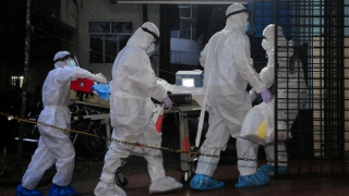 Virus Nipah quay lại Ấn Độ, nhiều nước tăng cường kiểm tra y tế