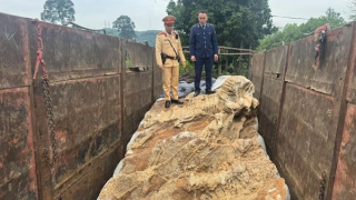 Lén lút vận chuyển vào Nam 2 khối đá hoa nặng 70 tấn