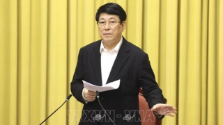 Chuẩn bị tốt các điều kiện phục vụ nhân dân vui Xuân, đón Tết Bính Ngọ​