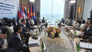 Việt Nam sẵn sàng phối hợp thúc đẩy triển khai Đồng thuận 5 điểm về Myanmar