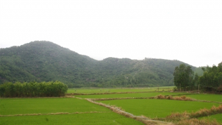 Gặp nam sinh cứu phi công trong vụ máy bay quân sự rơi ở phía Đông tỉnh Đắk Lắk