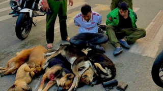 Tổ tuần tra bắt nóng nhóm trộm chó chuyên nghiệp