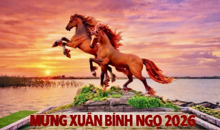Ngựa Xuân bên bờ sông Thạch Hãn